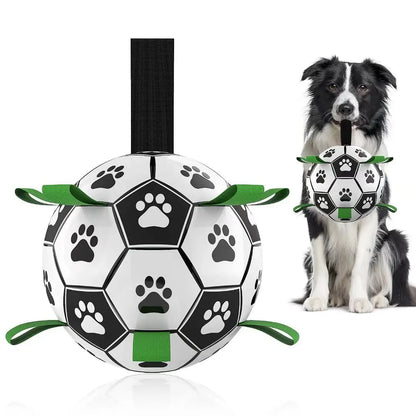 Dog Soccer Ball