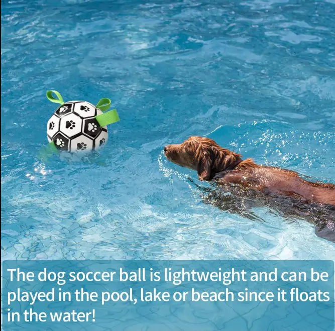 Dog Soccer Ball